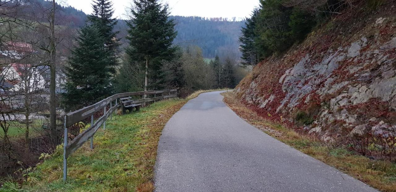 Ferienwohnung "Hirschlein" Im Schwarzwald 바이에르스브론 외부 사진