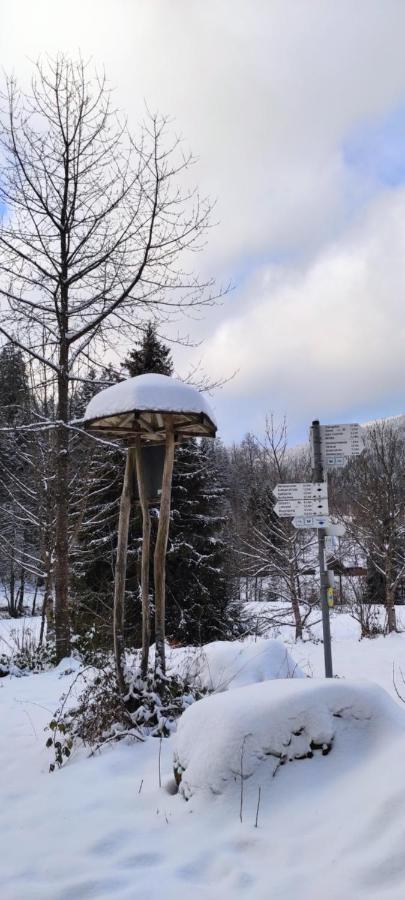 Ferienwohnung "Hirschlein" Im Schwarzwald 바이에르스브론 외부 사진
