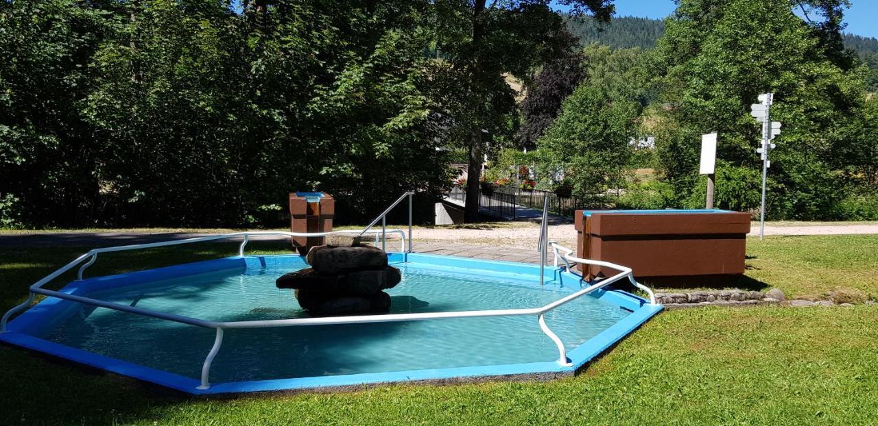 Ferienwohnung "Hirschlein" Im Schwarzwald 바이에르스브론 외부 사진