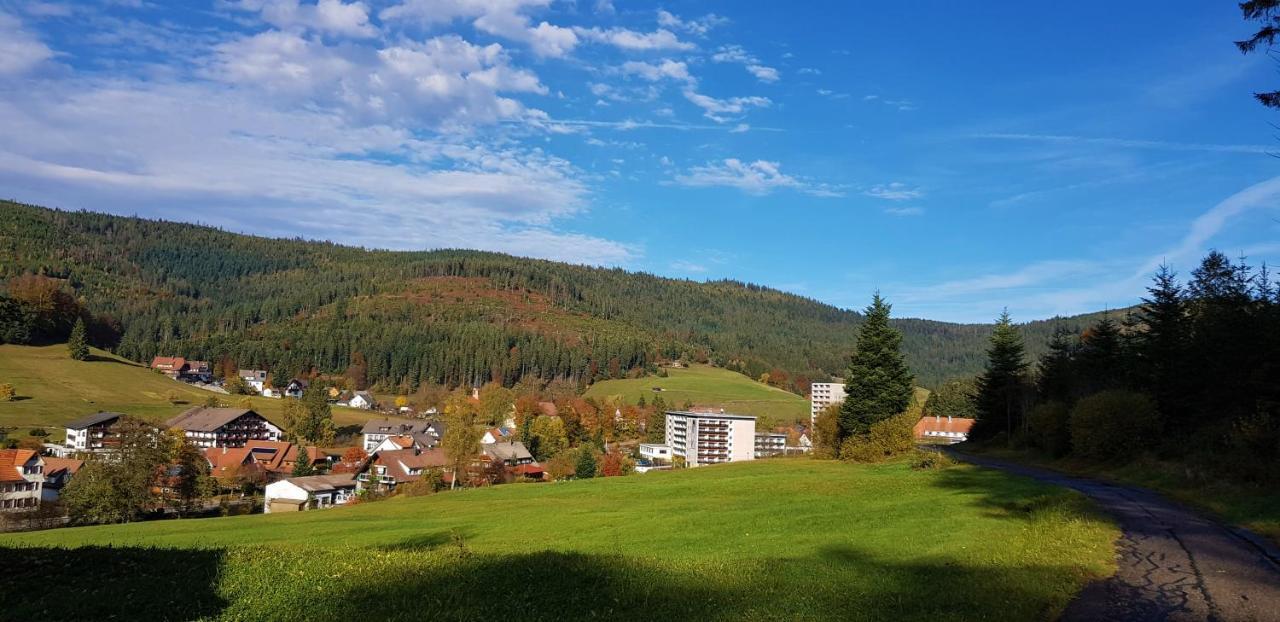 Ferienwohnung "Hirschlein" Im Schwarzwald 바이에르스브론 외부 사진