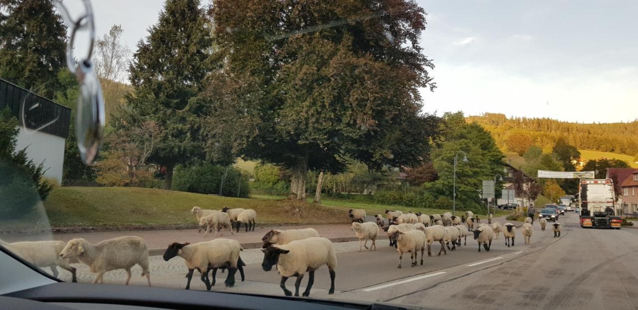 Ferienwohnung "Hirschlein" Im Schwarzwald 바이에르스브론 외부 사진
